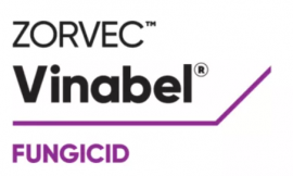 ZORVEC VINABEL - 5ML 